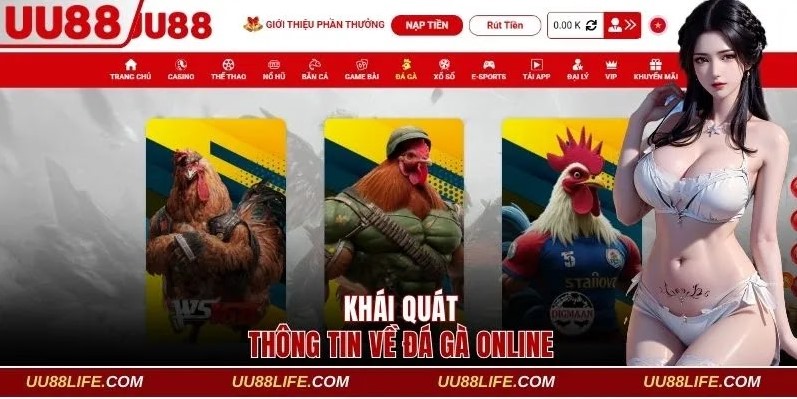 Sảnh Đá Gà Online UU88 - Thỏa Mãn Đam Mê Cá Cược 2 Khái quát một vài thông tin về đá gà online